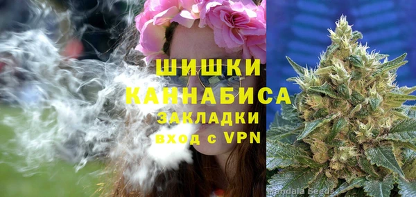 соль ск Елабуга