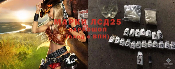соль ск Елабуга