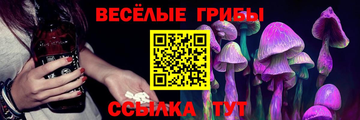 Майкоп  Псилоцибиновые грибы Magic Shrooms  где продают наркотики  Вход с VPN  Галлюциногенные грибы Psilocybe 