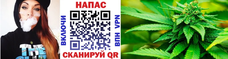 Конопля тримм  mega ССЫЛКА  Майкоп  хочу наркоту 